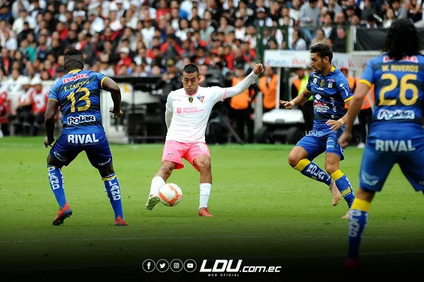 Albos y Cetáceos pelearán por el título