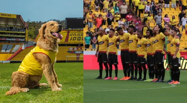 Coloso hizo noticia hace unos días, luego que se extraviara. Ahora que lo encontraron la directiva decidió otro rumbo para su mascota