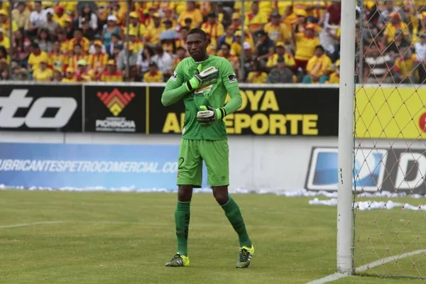 Dida Domínguez no tiene minutos en Argentina, y podría tener su segunda oportunidad en el torneo nacional