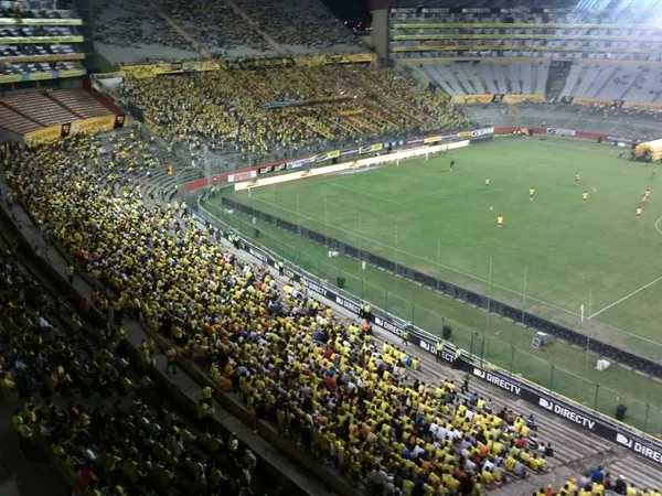 El césped a punto para la Noche Amarilla