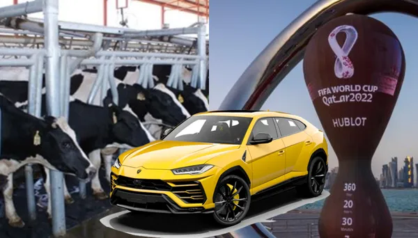 El ecuatoriano empezó desde abajo, y hoy jugará su segundo mundial con la selección