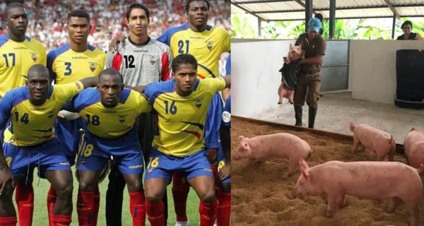 El histórico jugador de la selección ecuatoriana hoy cría cerdos en su finca