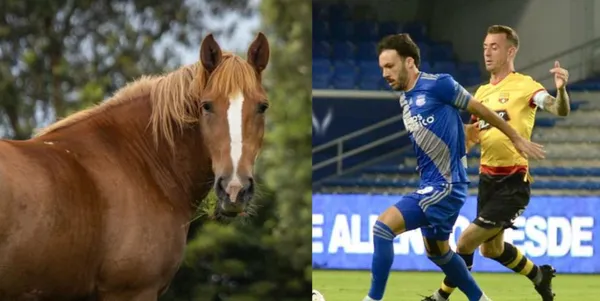 El jugador hoy se gana la vida cuidando caballos, gana una fortuna