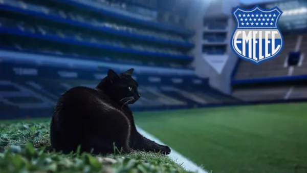 Emelec, Gato negro / Foto: Cracks