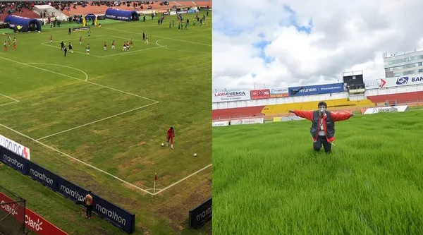Este estadio sorprendió por su buen estado del gramado