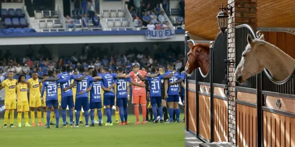 Facturó $300 mil en Barcelona SC, hoy cuida caballos