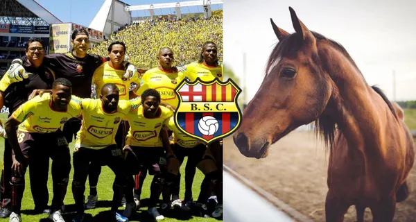 Fue una de las figuras de Barcelona SC en el año 2007 y ahora se dedica a cuidar caballos para carreras, además, tiene una empresa inmobiliaria