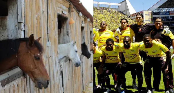 Fue uno de los arqueros mejor pagados en Barcelona, hoy tiene un establo