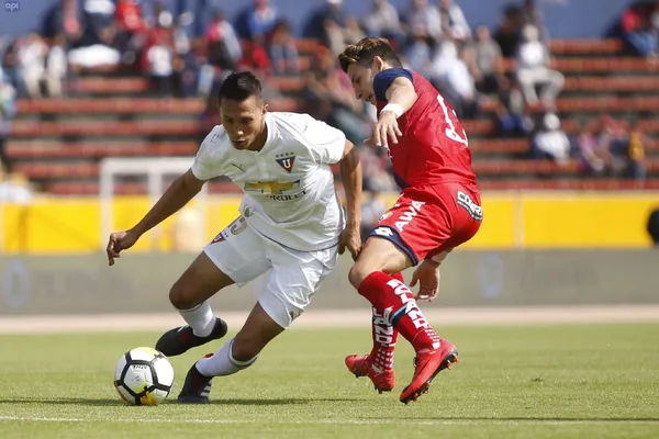 La mala administración de los puros criollos podría ocasionarle una suspensión