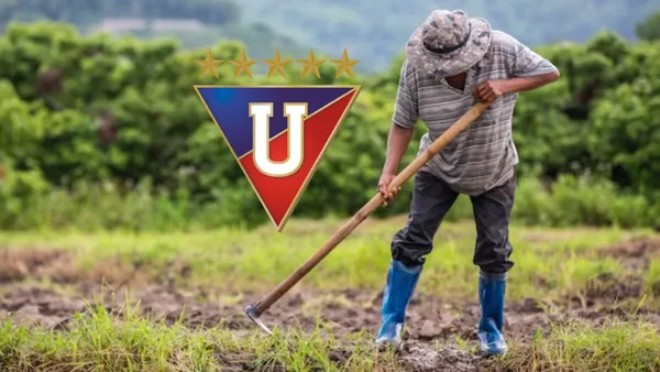 Liga de Quito / Foto: Infobae