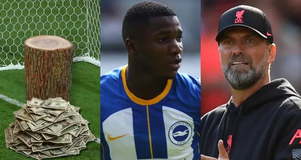 Liverpool va a la carga por otro jugador, el cual en su país es considerado un tronco, luego que por Moisés Caicedo pidieron cerca de 100 millones