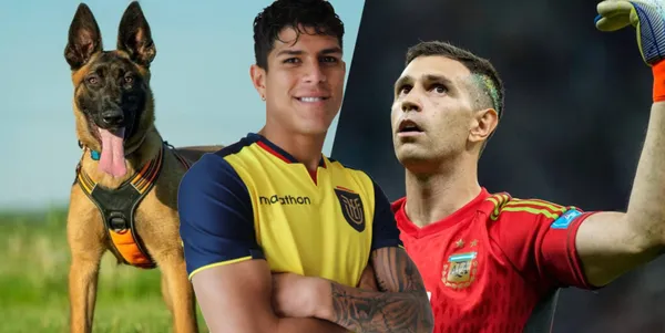 Lo que cuesta el perro que tiene Piero Hincapié en Alemania