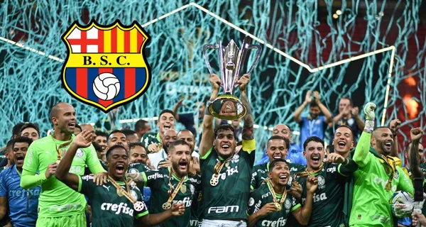 Lo que hizo Palmeiras al conocer su grupo de la Copa Libertadores