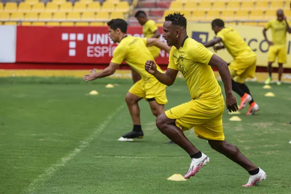 "Los amarillos" no se detienen y ya piensan en la próxima temporada