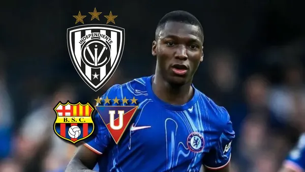 Moisés Caicedo / Foto: Chelsea