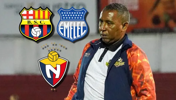 Pechón León / Foto: API