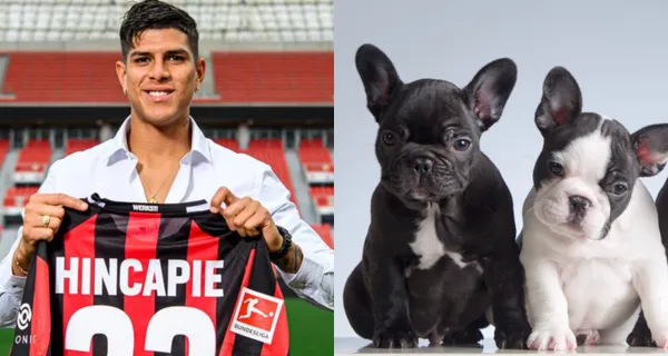 Piero Hincapié está cada vez más adaptado a la vida en Alemania y ahora tiene una mascota de nombre 'Theo' con la camiseta del Bayer Leverkusen