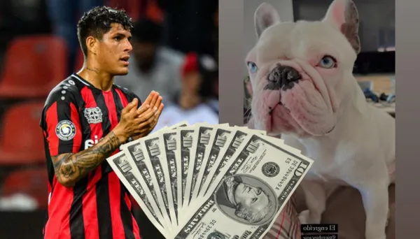 Recientemente, Piero Hincapié volvió a subir una foto de su mascota en Alemania, mira lo que cuesta