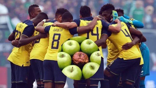 Selección Ecuatoriana / Foto: API