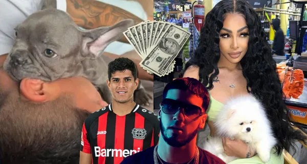 Tanto en el fútbol como en la música se llegan a ganar miles de dólares, lo que les permite darse lujos como las mascotas. Mira la diferencia entre Hincapié y la novia de Anuel