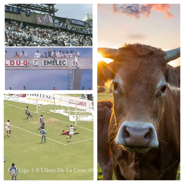 Ulises de la Cruz ex gloria de Liga y la selección, hoy se dedica la ganadería.