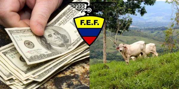 Uno de los jugadores ecuatorianos que tenía un mega salario hoy no tiene equipo y se ha dedicado a los trabajos en el campo