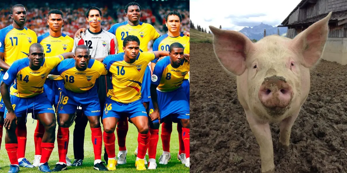 El ex jugador de la Selección Ecuatoriana por poco pierde la vida, hoy se dedica a la agricultura