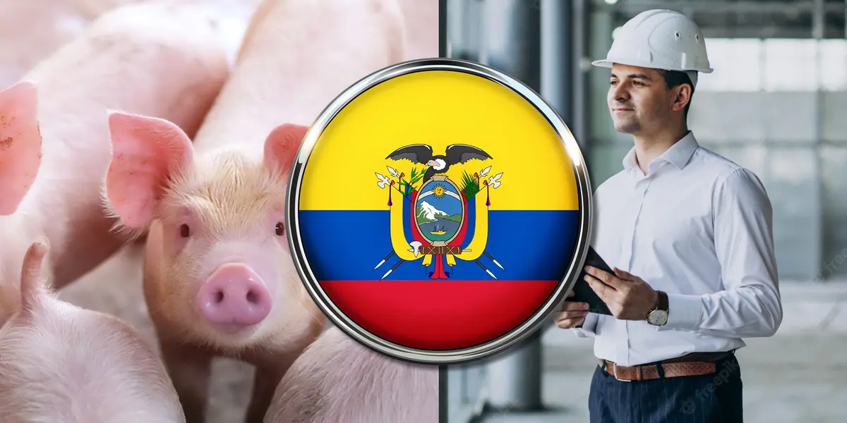 El jugador de la selección ecuatoriana hoy cría cerdos gracias a la finca que se compró por el Mundial