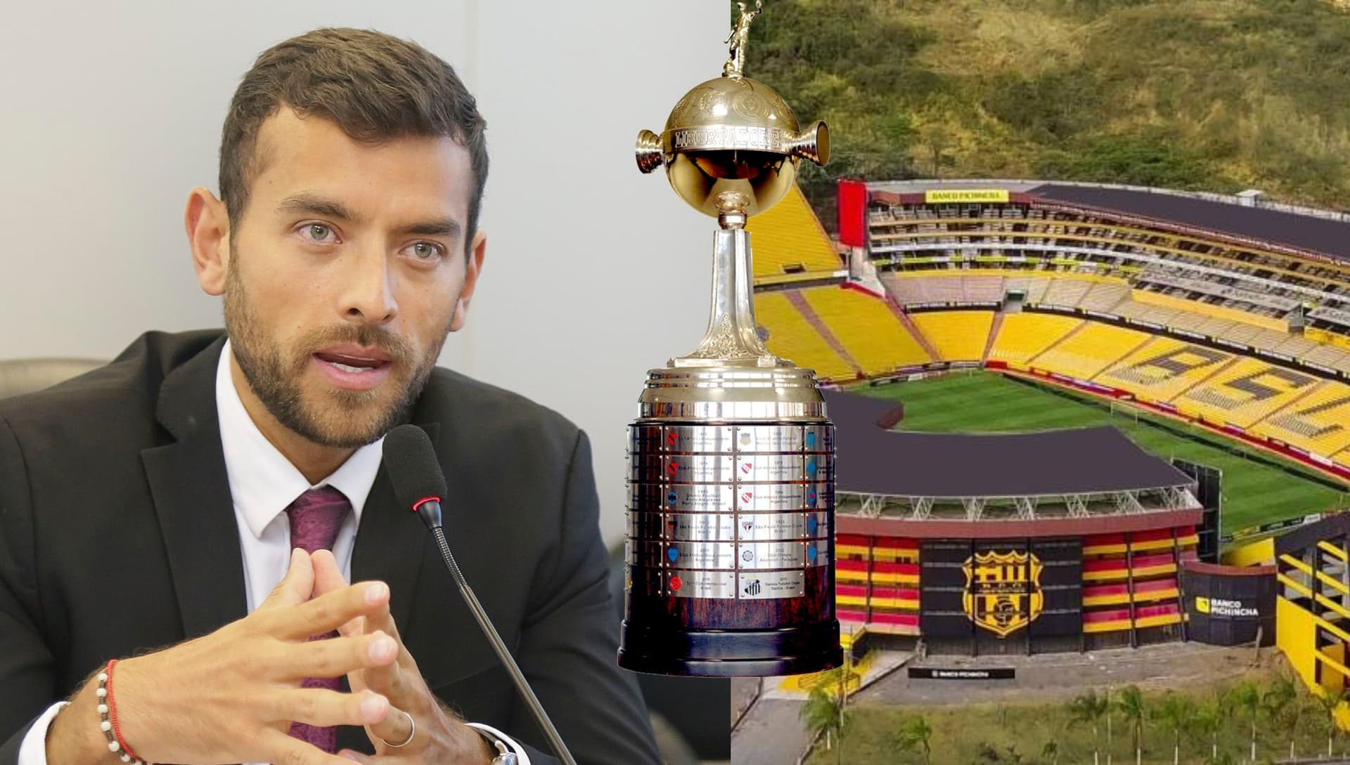 Desde el Ministerio del Deporte hablaron sobre el posible cambio de sede de la Libertadores