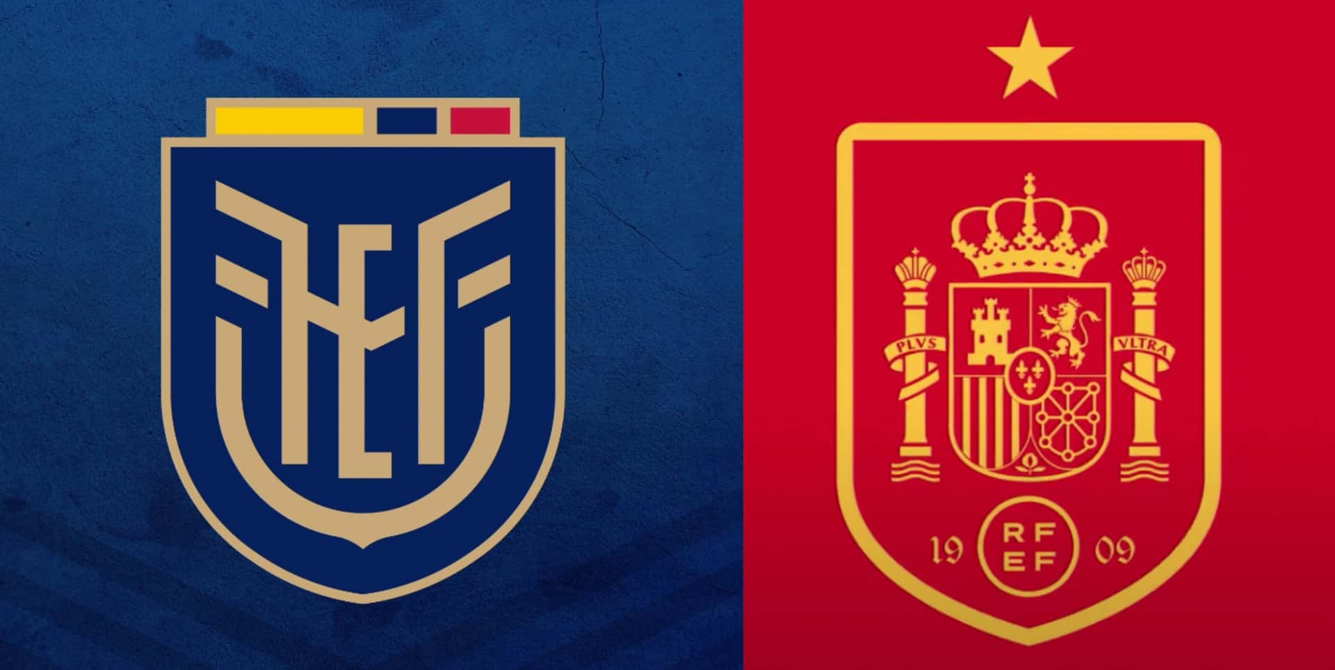 Desde España le dan una lección de gestión a la FEF