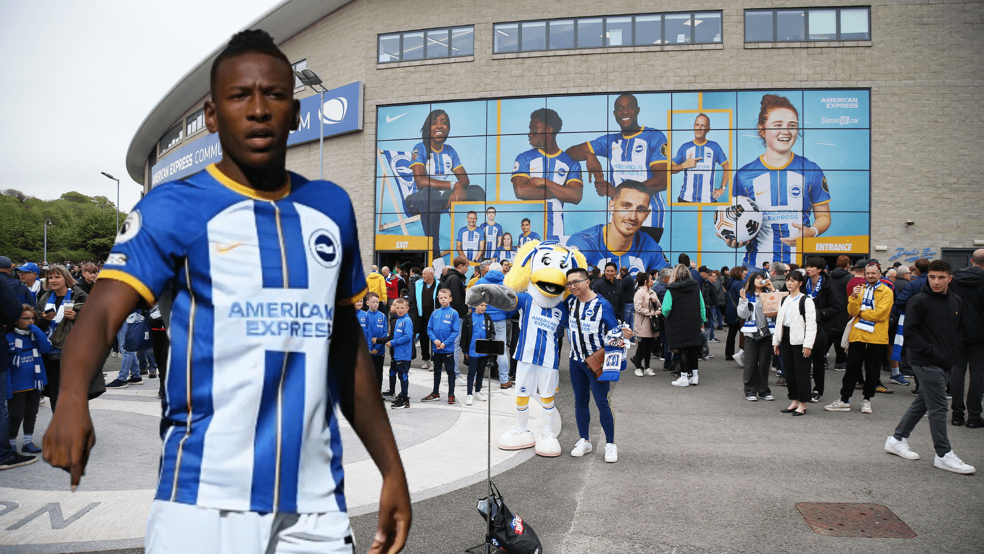 El Brighton podría darle el peor regalo de navidad a Pervis