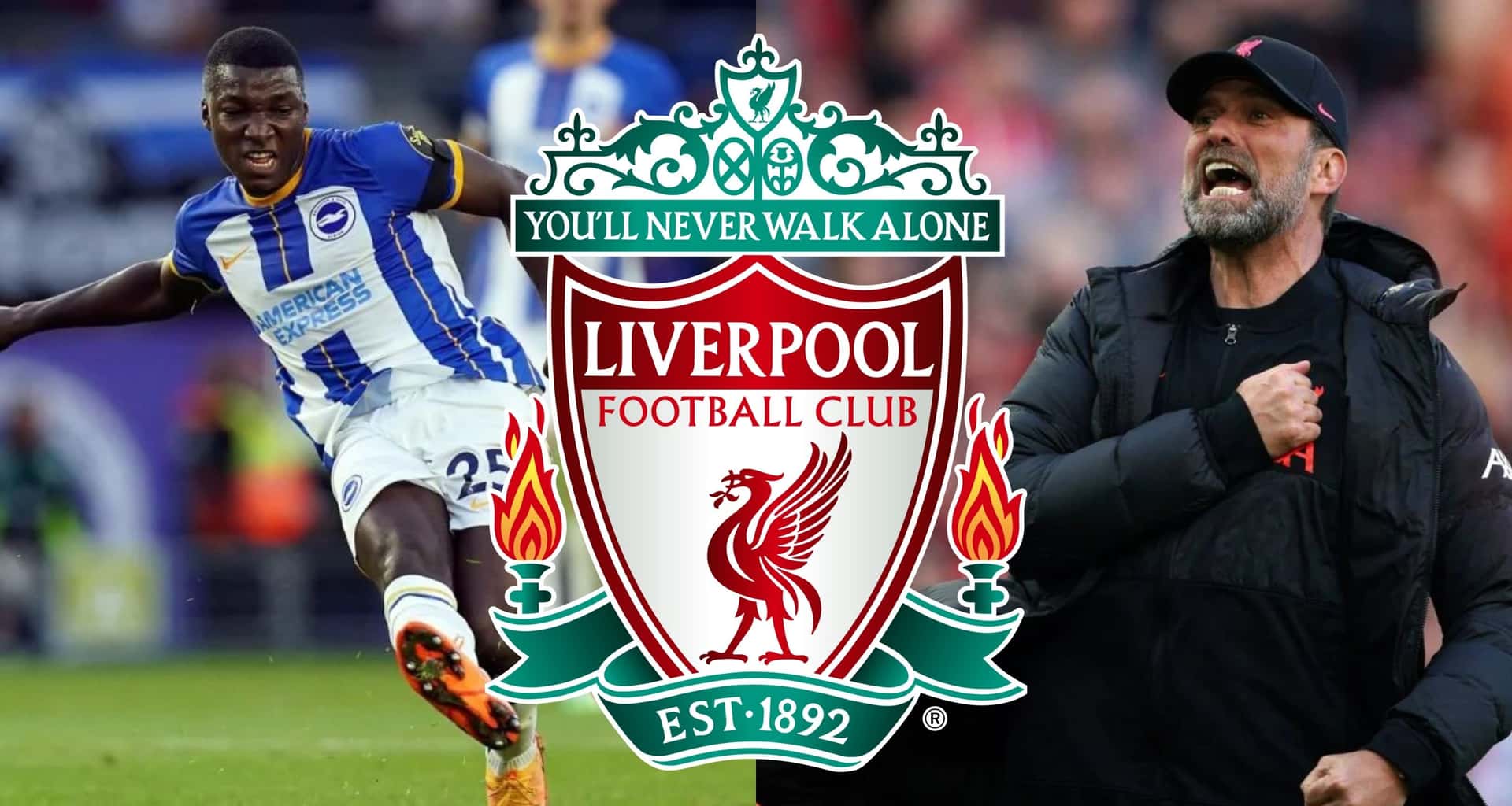 El Brighton quiere despechar al Liverpool, mira lo que hizo