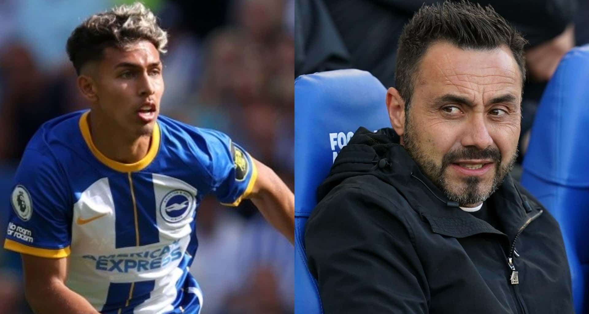 El entrenador no considera a Jeremy Sarmiento de titular en Brighton pero el ecuatoriano no se rinde y esto hizo