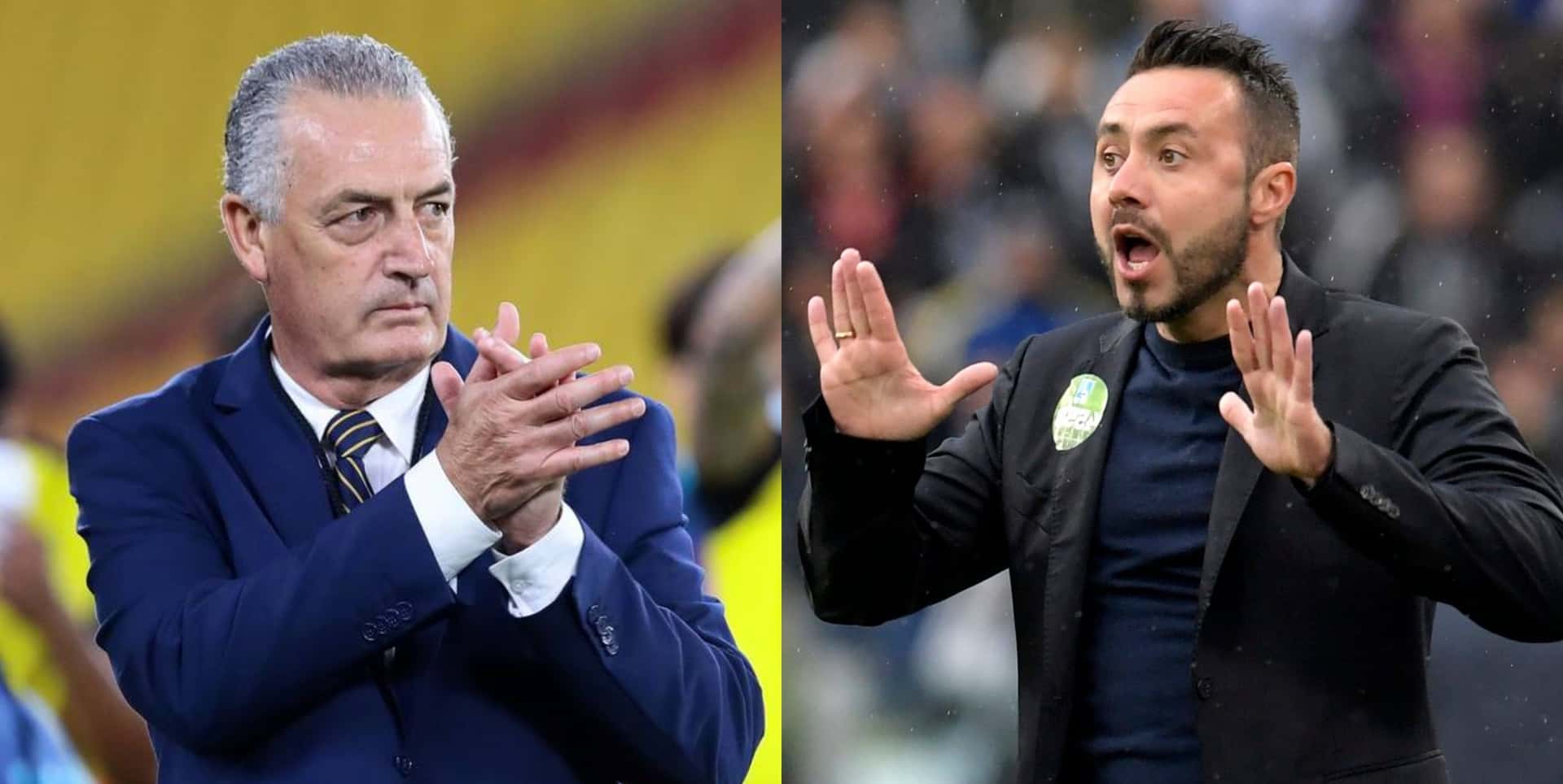 El estratega del Brighton le dio la mejor noticia a la Selección Ecuatoriana