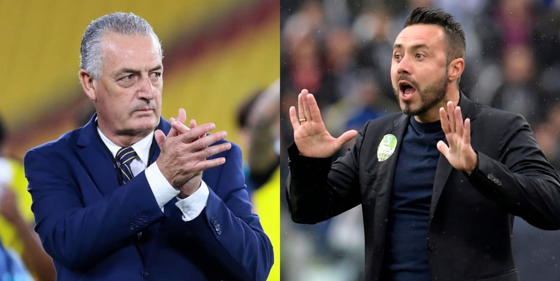 El estratega del Brighton le dio la mejor noticia a la Selección Ecuatoriana