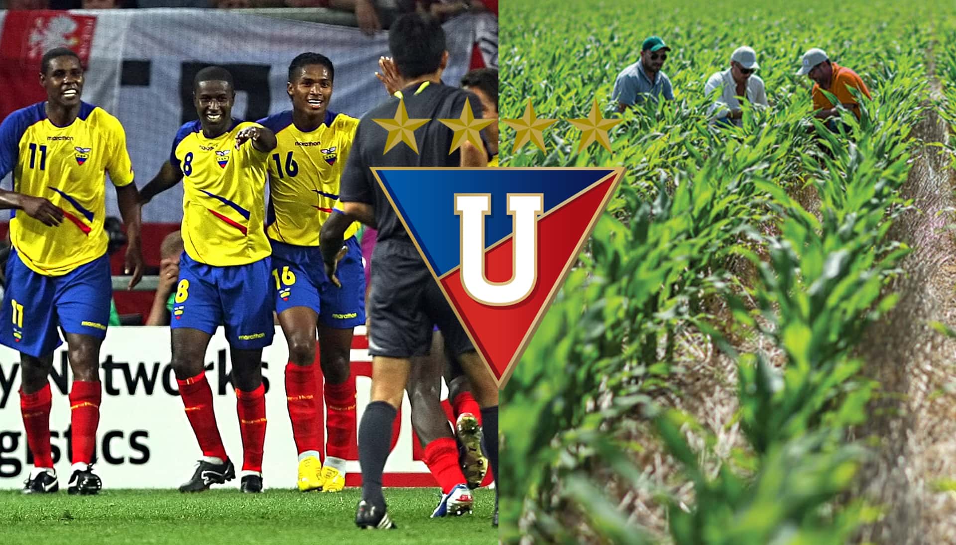 El jugador aprovechó los premios del mundial para comprar una finca y sembrar maíz