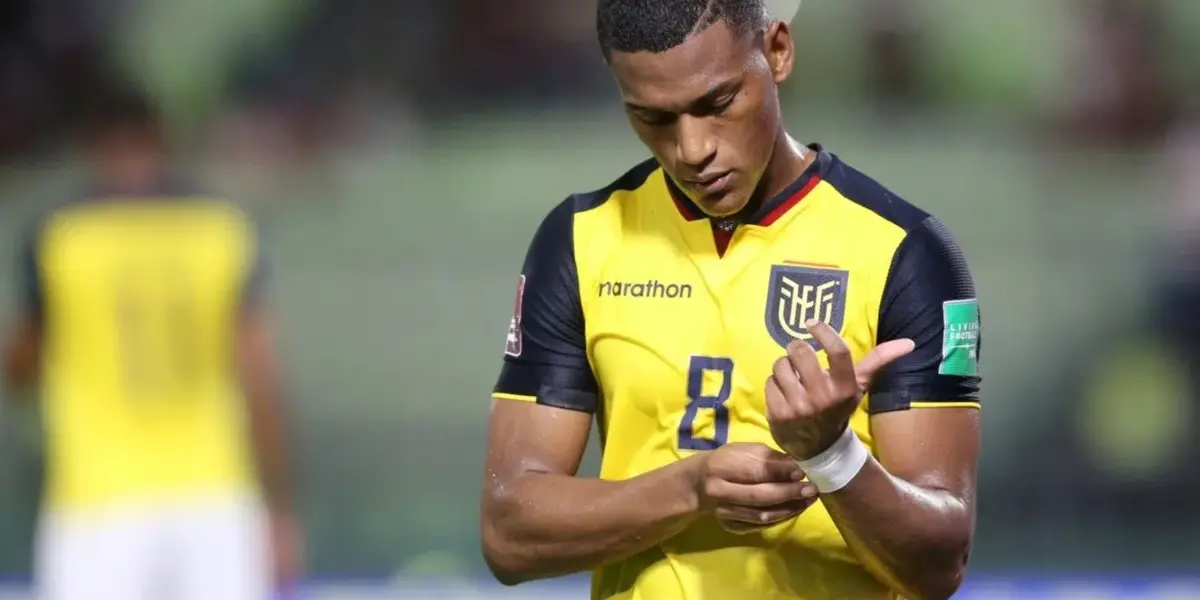 El jugador ecuatoriano está haciendo un gran trabajo en la Bundesliga alemana