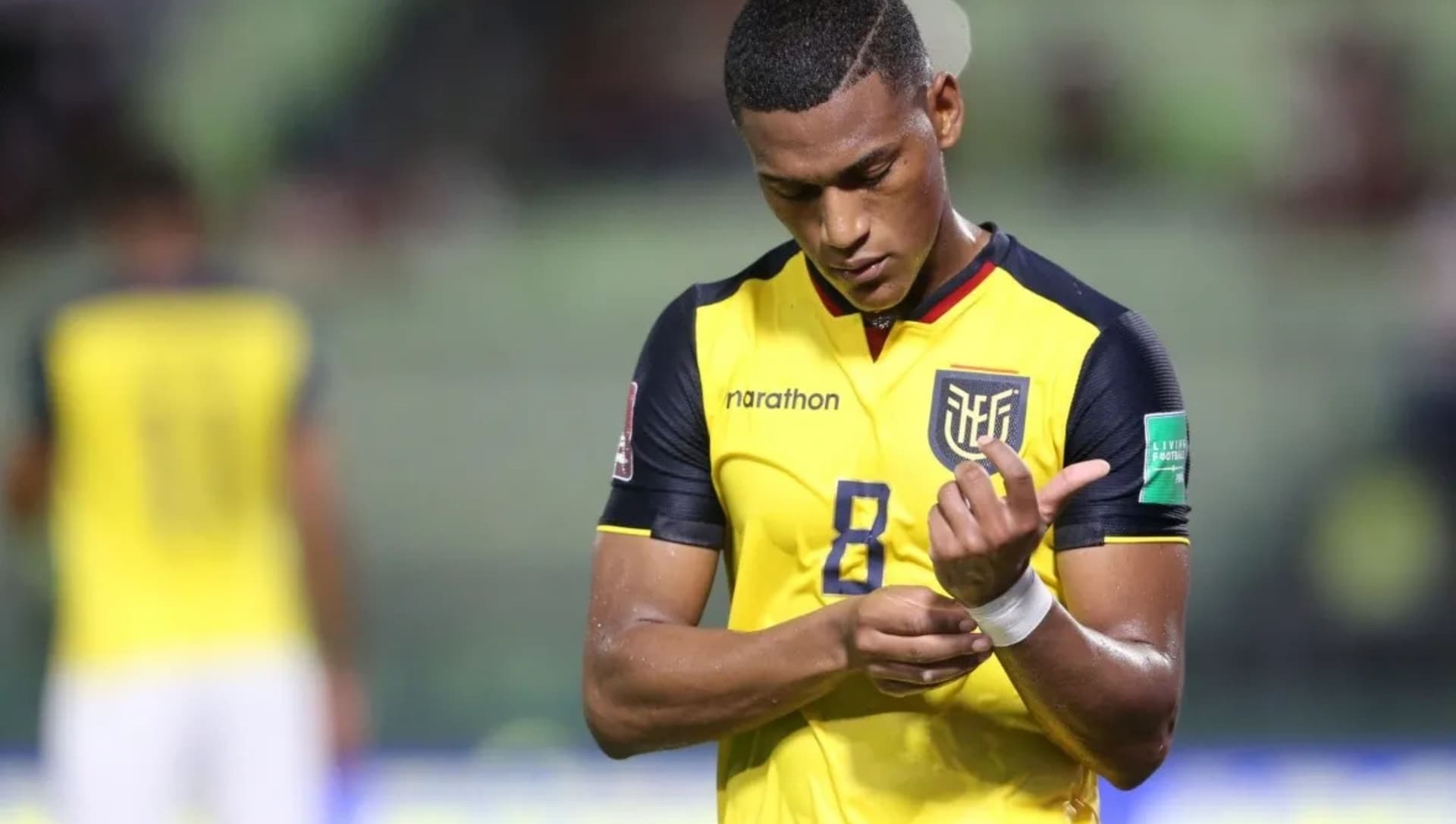 El jugador ecuatoriano está haciendo un gran trabajo en la Bundesliga alemana