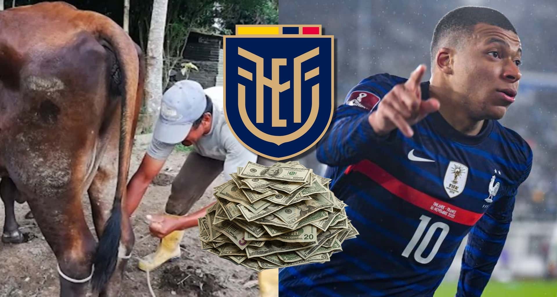El jugador ecuatoriano inició desde abajo pero ahora es una de las grandes figuras en Europa, tiene los mismos goles que Mbappé