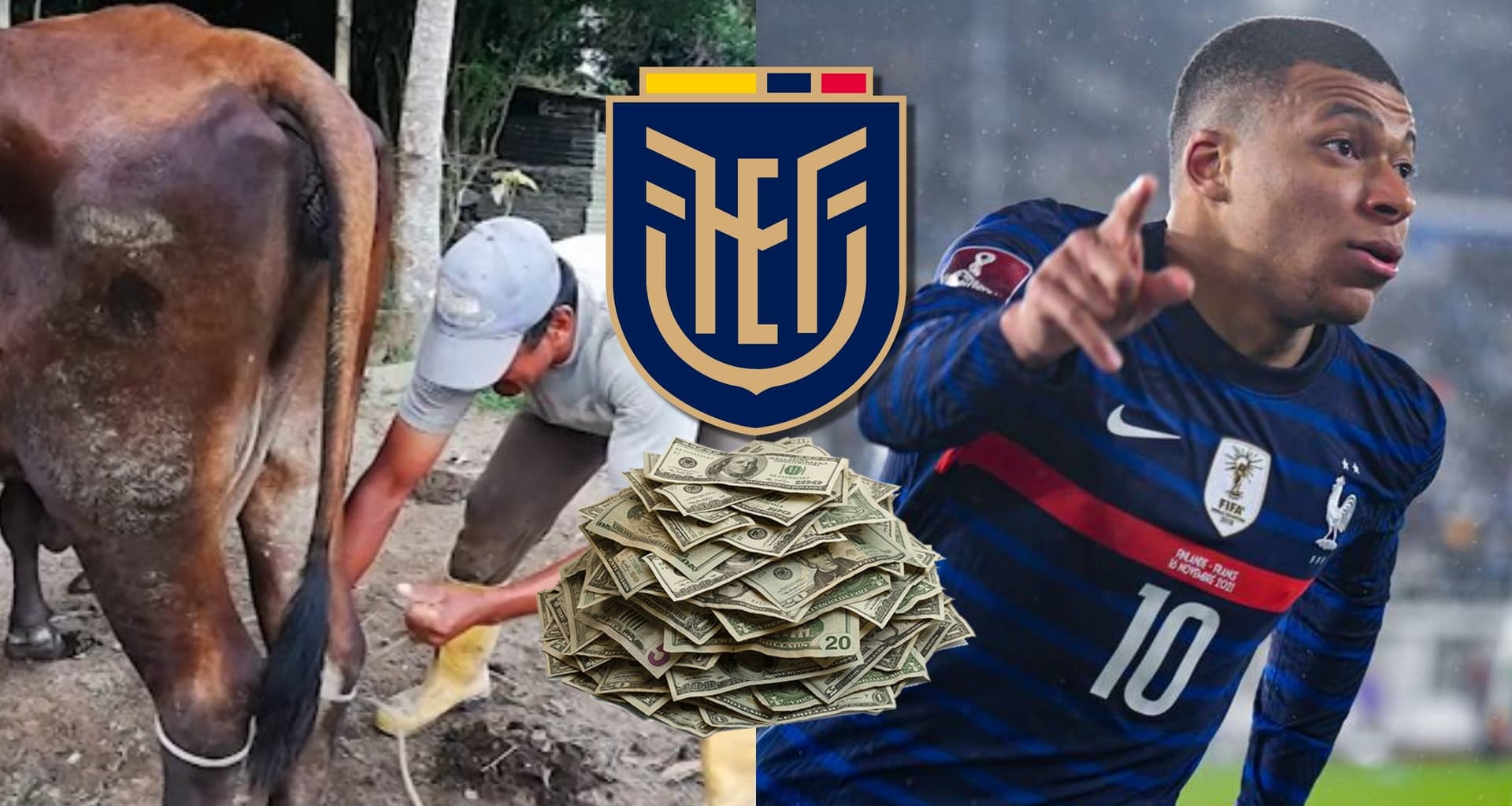 El jugador ecuatoriano inició desde abajo pero ahora es una de las grandes figuras en Europa, tiene los mismos goles que Mbappé