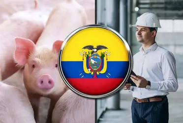El jugador de la selección ecuatoriana hoy cría cerdos gracias a la finca que se compró por el Mundial