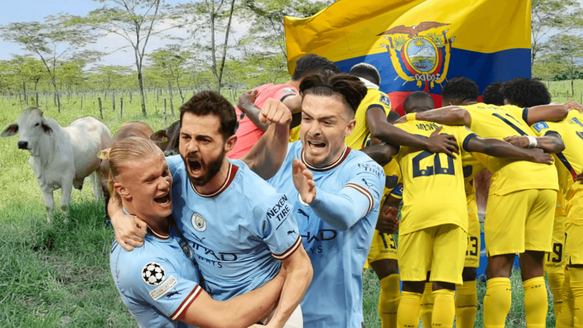 Fondo ganado, jugadores Manchester City, jugadores selección Ecuador. Foto tomada de: Contexto Ganadero/Sporting News/La Tri