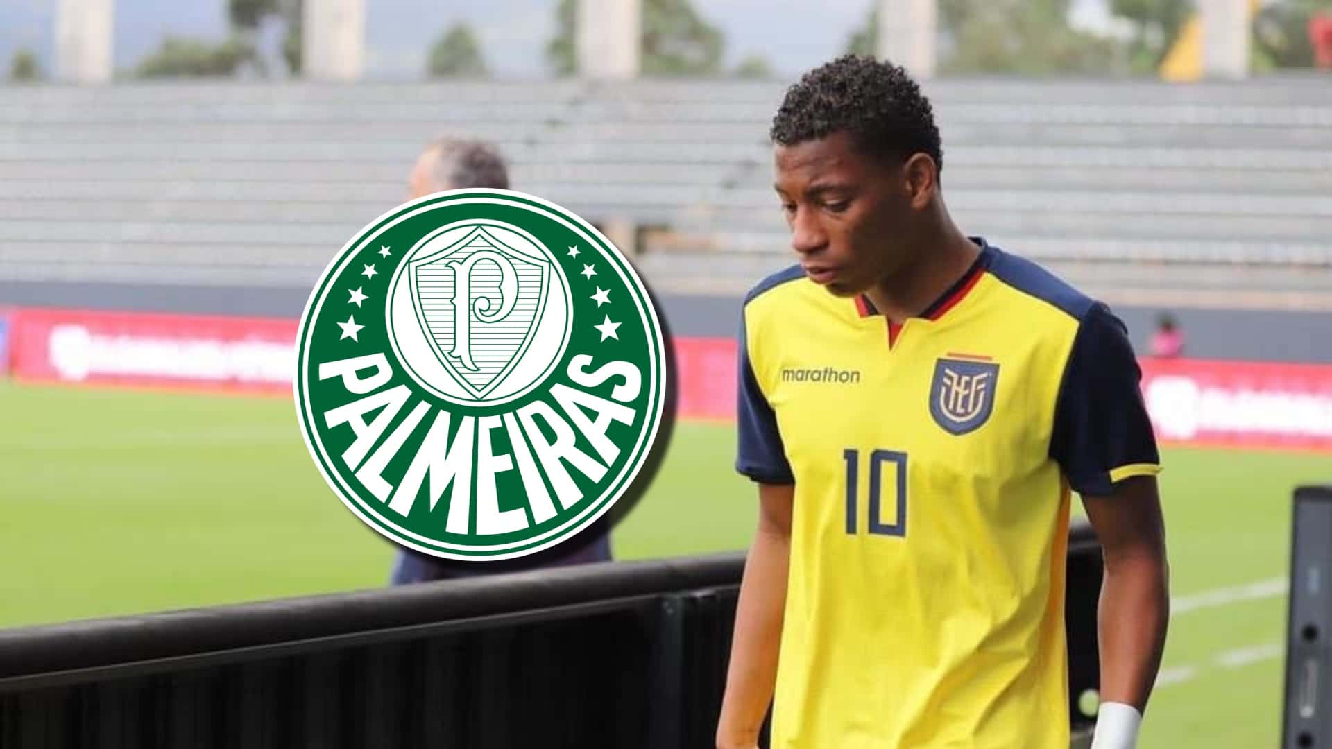 Gonzalo Plata-Palmeiras / Foto: API