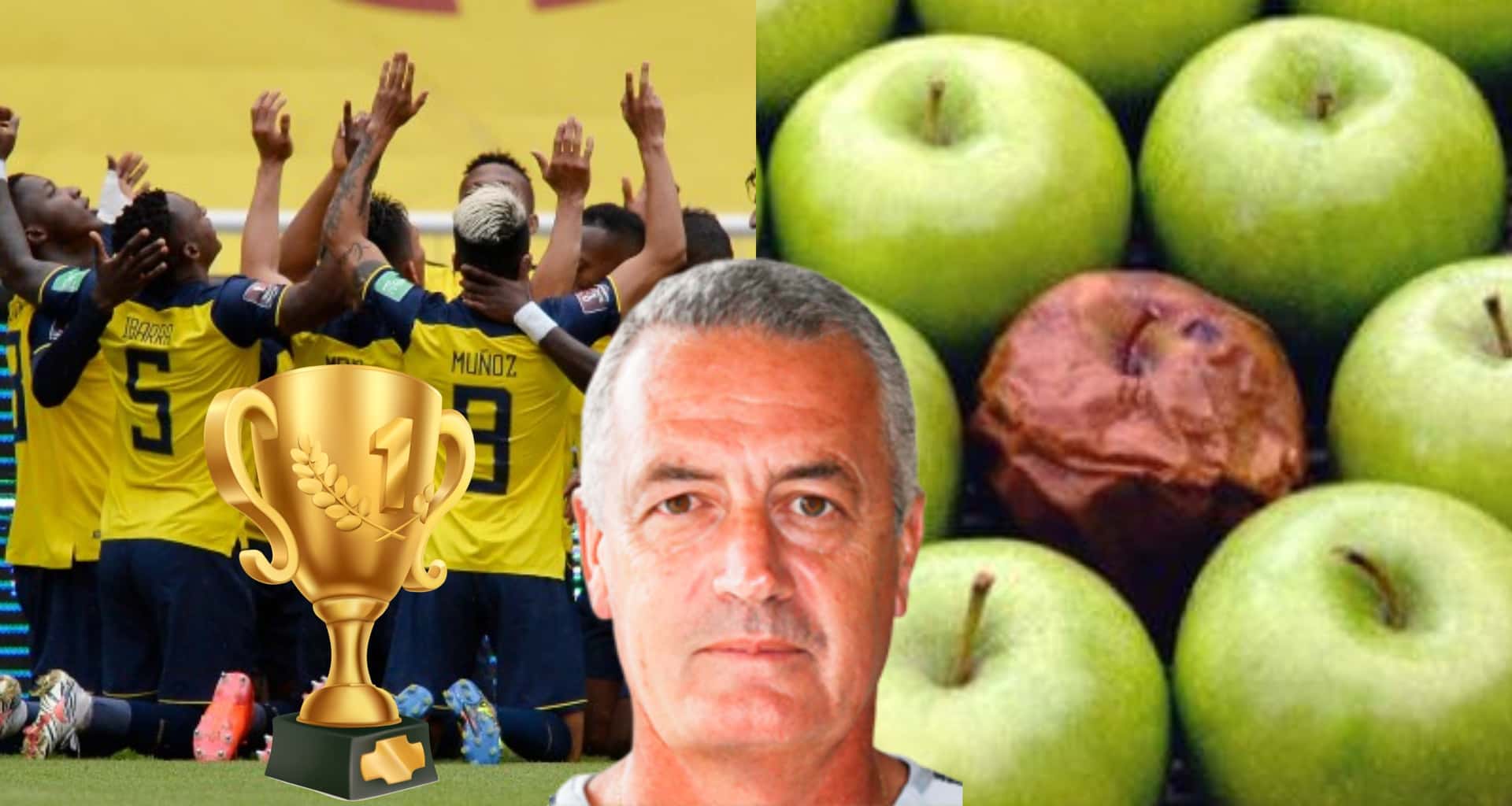 Gustavo Alfaro clasificó al Mundial con una base de jugadores importantes y que sudan la camiseta de la Selección Ecuador, por lo que no llamará a otros que pueden dañar la armonía del camerino