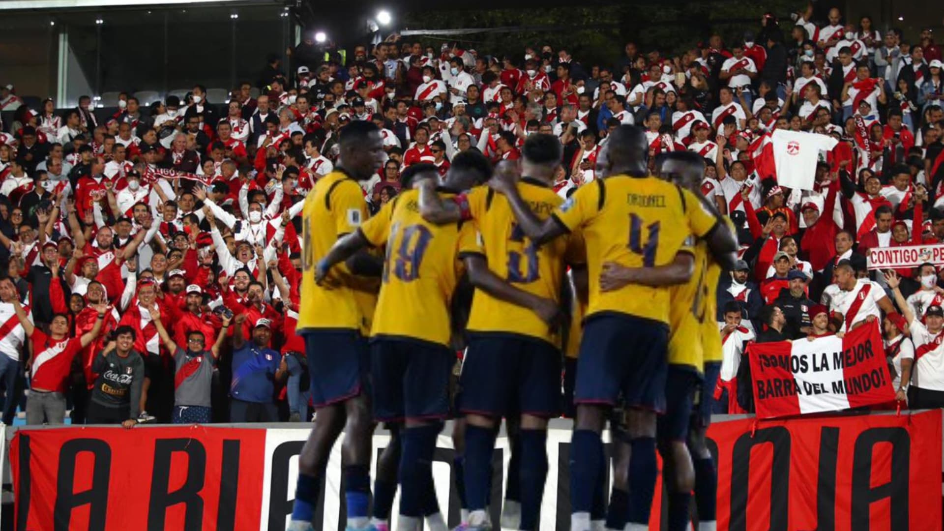 Hinchada de Perú y Ecuador
