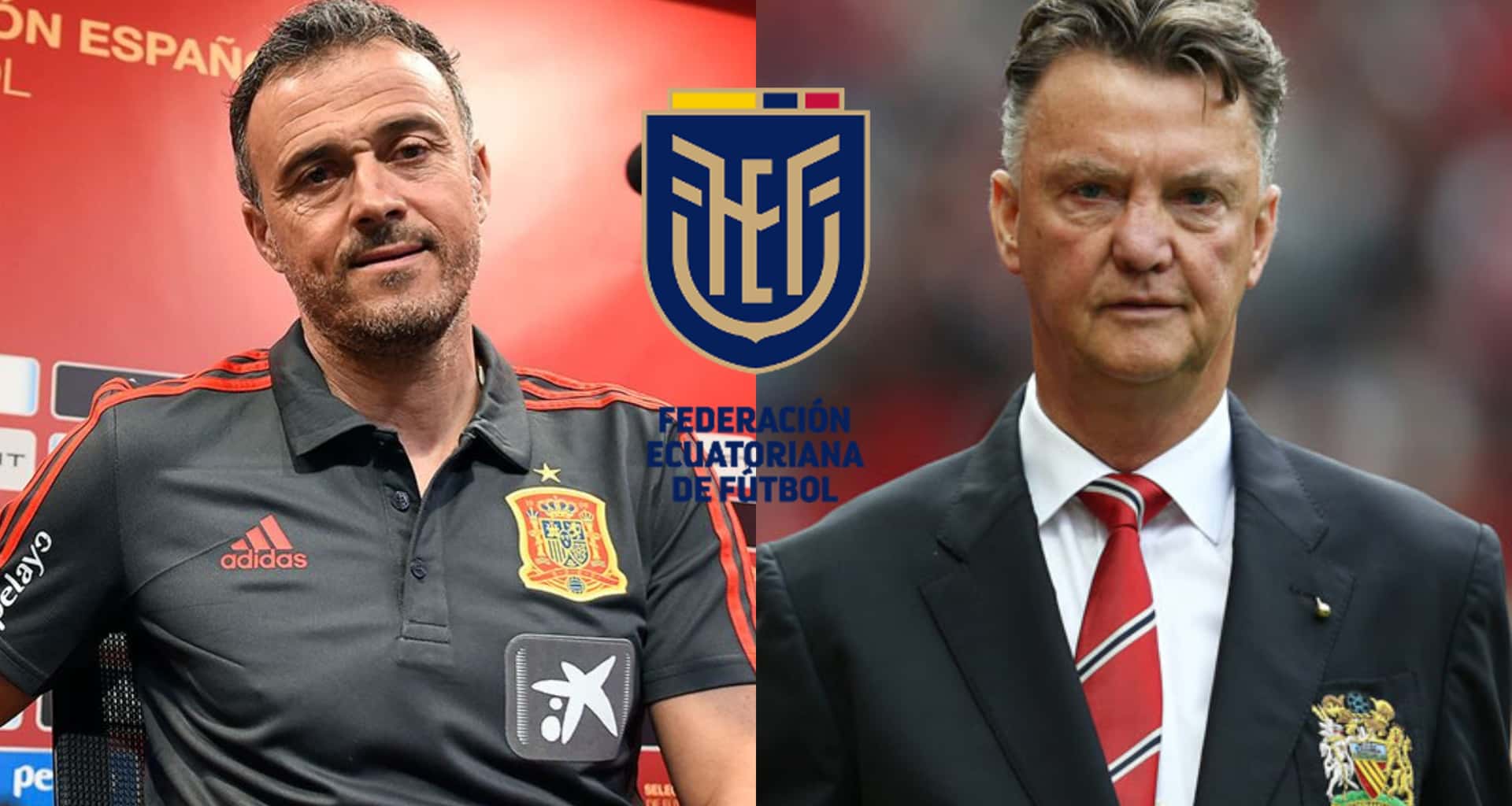 Holanda se enfrentará a Ecuador en el Mundial y mira lo que dijo su entrenador