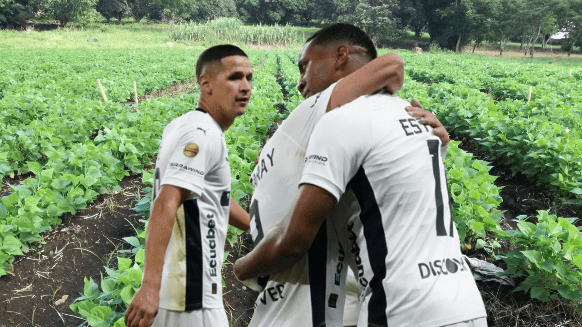 Jugadores de Liga de Quito en un campo de frijol (Foto tomada de: Campo Nacional de Agricultura/API)