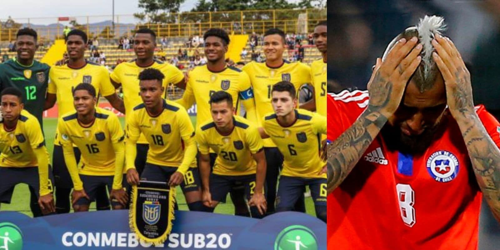 La FIFA se rindió a los pies de la Selección Ecuatoriana