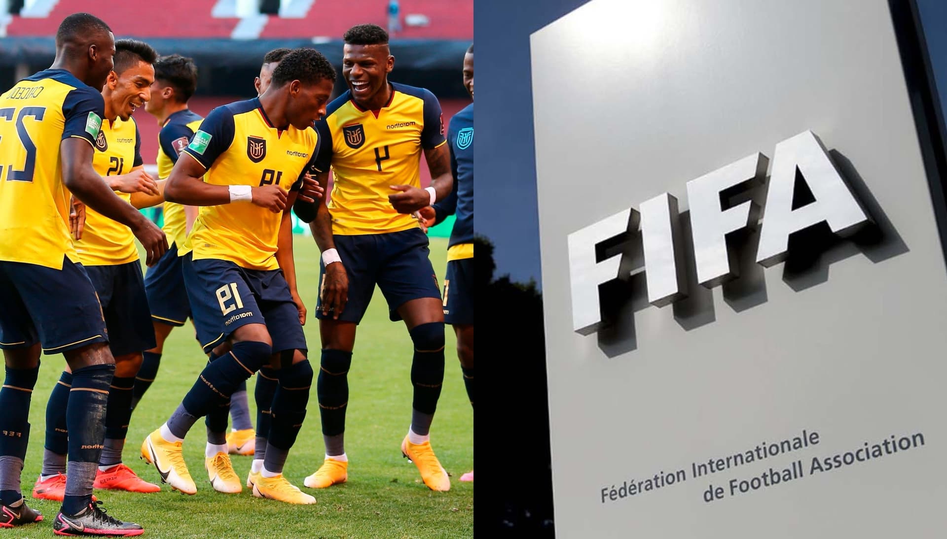 La selección ecuatoriana escaló posiciones en el Ranking FIFA
