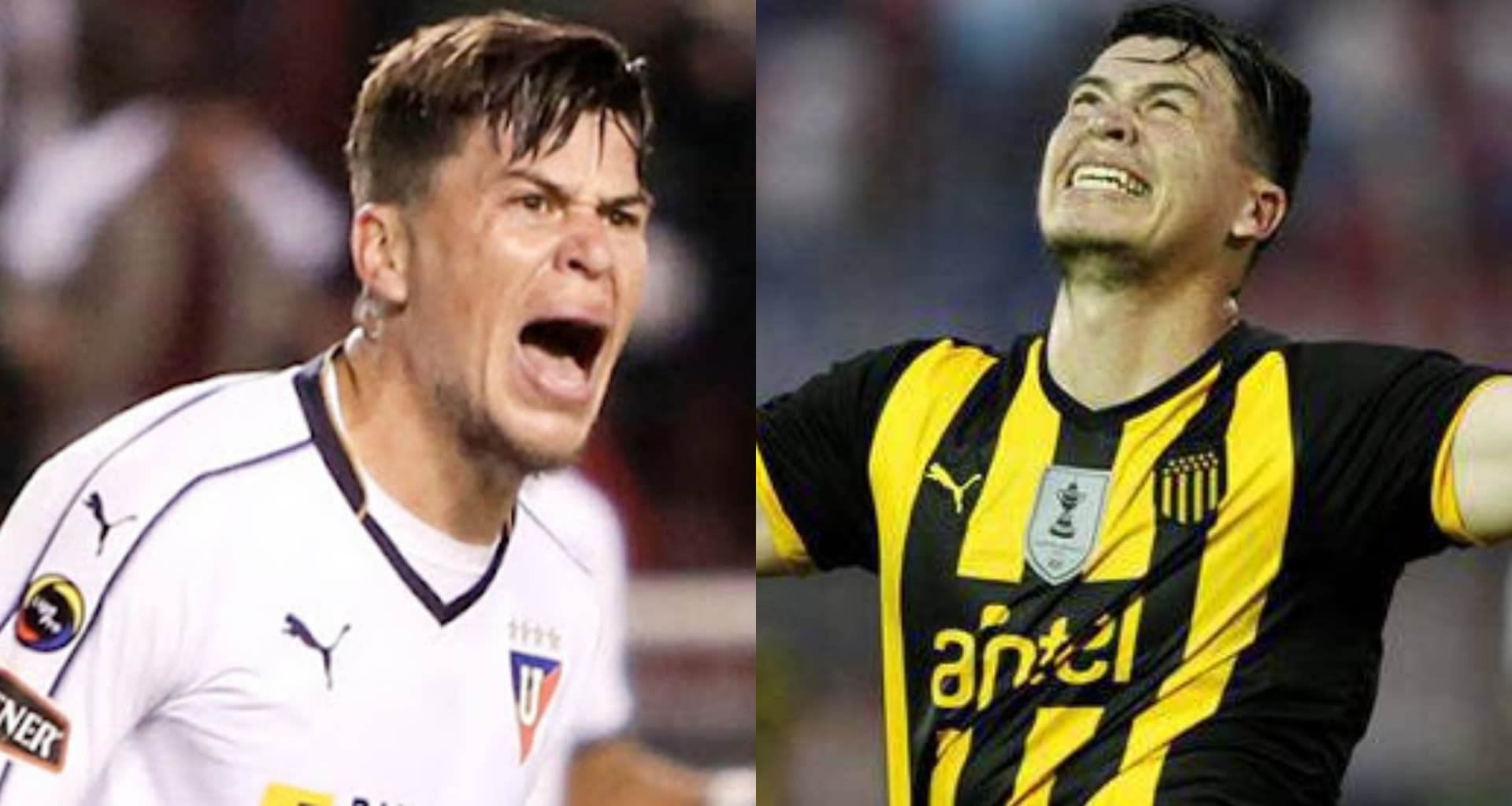 Liga de Quito ha tenido serios problemas en la defensa durante esta temporada debido a las lesiones o bajos rendimientos. Carlos Rodríguez puede ser quien salve al club y mira si lo volverán a traer o no